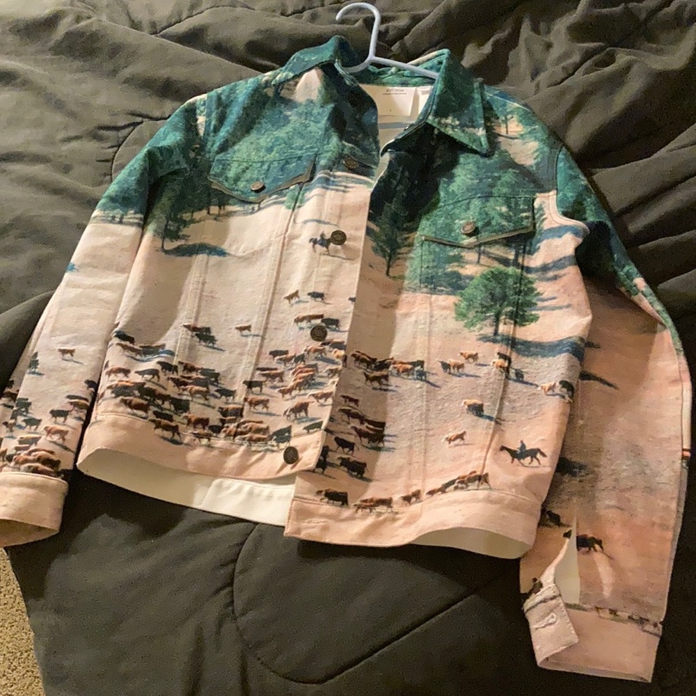 A raf simons/Calvin Klein Jean jacket